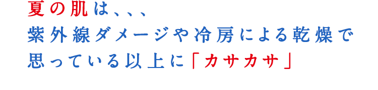 夏の肌は、、、紫外線ダメージや冷房による乾燥で思っている以上に「カサカサ」